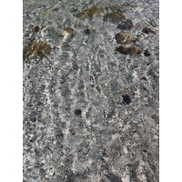 Picture Slovenia Soca River 2025-09 113 - Resorts Soca River