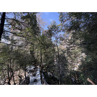 Picture China Zhangjiajie Tianzi Mountrain 2026-01 160 - Room Tianzi Mountrain