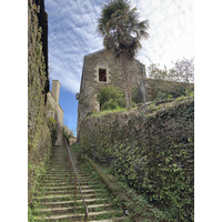 Picture France Rochefort en terre 2026-04 53