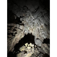 Picture Vietnam Ha Long Bay Sung Sot Cave 2024-01 17 - Hotel Sung Sot Cave