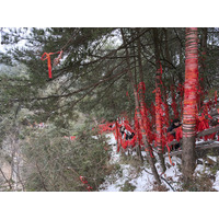 Picture China Zhangjiajie 2026-01 197 - Winter Zhangjiajie