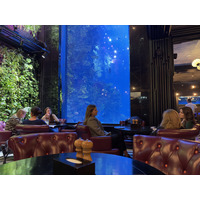 Picture Ukraine Lviv Restaurants 2024-10 140 - Restaurants Restaurants