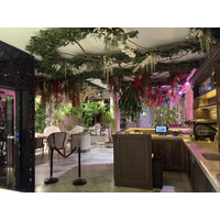 Picture Ukraine Lviv Restaurants 2024-10 43 - Spring Restaurants