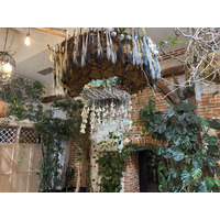 Picture Ukraine Lviv Restaurants 2024-10 158 - Lands Restaurants
