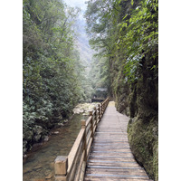 Picture China Zhangjiajie Grand Canion 2026-01 18 - Hot Season Grand Canion