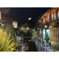 Picture China Lijiang 2026-01 223 - Cost Lijiang