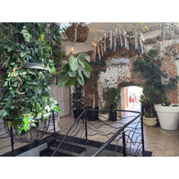 Picture Ukraine Lviv Restaurants 2024-10 123 - Hot Season Restaurants