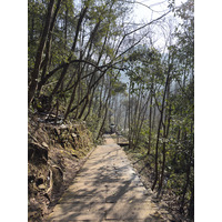 Picture China Zhangjiajie Tianzi Mountrain 2026-01 4 - Rain Season Tianzi Mountrain