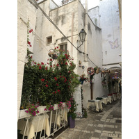 Picture Italy Ostuni 2024-09 12 - Accomodation Ostuni