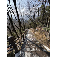 Picture China Zhangjiajie Tianzi Mountrain 2026-01 357 - Summer Tianzi Mountrain