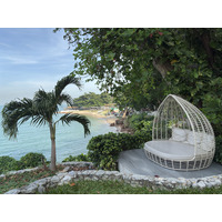 Picture Thailand Pattaya 2024-12 30 - Saving Pattaya