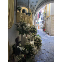Picture Italy Bari 2024-09 40 - Room Bari
