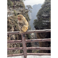 Picture China Zhangjiajie 2026-01 262 - Monuments Zhangjiajie
