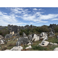 Picture China Shilin Stone Forest 2026-01 114 - Hot Season Shilin Stone Forest