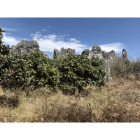 Picture China Shilin Stone Forest 2026-01 167 - Resorts Shilin Stone Forest