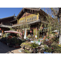 Picture China Lijiang 2026-01 589 - Saving Lijiang
