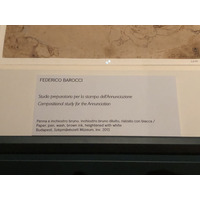 Picture Italy Urbino 2024-09 536 - Saving Urbino