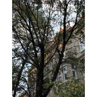 Picture Ukraine Lviv 2024-10 57 - Hot Season Lviv
