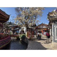 Picture China Lijiang 2026-01 299 - Land Lijiang