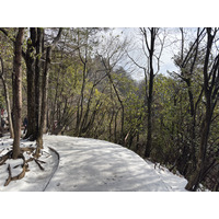 Picture China Zhangjiajie Tianzi Mountrain 2026-01 126 - Rentals Tianzi Mountrain