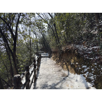 Picture China Zhangjiajie Tianzi Mountrain 2026-01 111 - Night Tianzi Mountrain