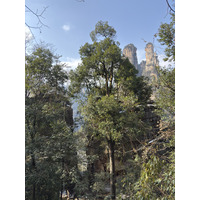 Picture China Zhangjiajie Tianzi Mountrain 2026-01 238 - Hotel Pool Tianzi Mountrain