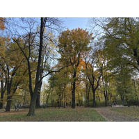Picture Ukraine Lviv 2024-10 299 - Monument Lviv
