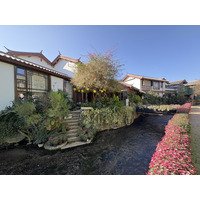 Picture China Lijiang 2026-01 498 - Rental Lijiang