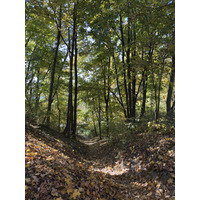 Picture Ukraine Lviv 2024-10 382 - Savings Lviv