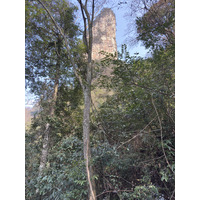 Picture China Zhangjiajie Tianzi Mountrain 2026-01 156 - Cheap Room Tianzi Mountrain