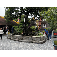 Picture Vietnam Hanoi Tran Quoc Pagoda 2024-01 7 - Rentals Tran Quoc Pagoda