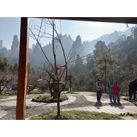 Picture China Zhangjiajie Tianzi Mountrain 2026-01 314 - Shopping Tianzi Mountrain