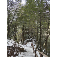 Picture China Zhangjiajie Tianzi Mountrain 2026-01 105 - To see Tianzi Mountrain
