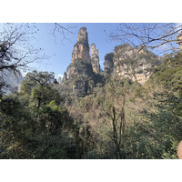 Picture China Zhangjiajie Tianzi Mountrain 2026-01 296 - Winter Tianzi Mountrain