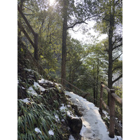 Picture China Zhangjiajie Tianzi Mountrain 2026-01 205 - Price Tianzi Mountrain