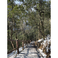 Picture China Zhangjiajie Tianzi Mountrain 2026-01 36 - Savings Tianzi Mountrain