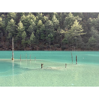 Picture China Lijiang Blue moon valley 2026-01 37 - Hotel Pools Blue moon valley