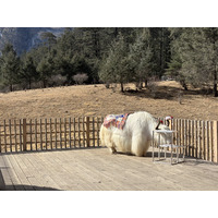 Picture China Lijiang Blue moon valley 2026-01 46 - SPA Blue moon valley