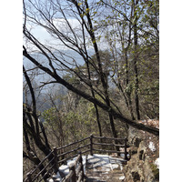 Picture China Zhangjiajie Tianzi Mountrain 2026-01 189 - Summer Tianzi Mountrain