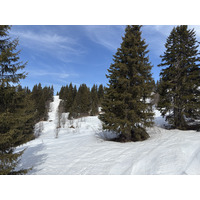 Picture France Praz sur Arly 2025-02 73