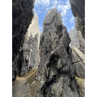 Picture China Shilin Stone Forest 2026-01 260 - Rain Season Shilin Stone Forest