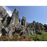 Picture China Shilin Stone Forest 2026-01 171 - Saving Shilin Stone Forest