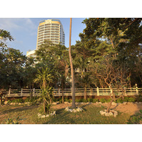 Picture Thailand Pattaya Dongtan beach 2025-12 35 - Accomodation Dongtan beach