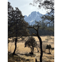 Picture China Lijiang Blue moon valley 2026-01 135 - Winter Blue moon valley