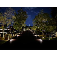 Picture Thailand Chiang Mai 2024-01 4 - To see Chiang Mai