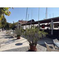 Picture Hungary Balaton Lake 2025-09 50 - Resorts Balaton Lake