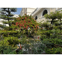 Picture Vietnam Saigon Continental Hotel 2024-01 17 - Waterfall Continental Hotel