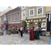 Picture Slovenia Ptuj 2025-09 84 - Spring Ptuj