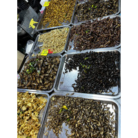 Picture Thailand Pattaya 2023-12 89 - Lakes Pattaya