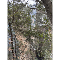 Picture China Zhangjiajie 2026-01 55 - Weather Zhangjiajie